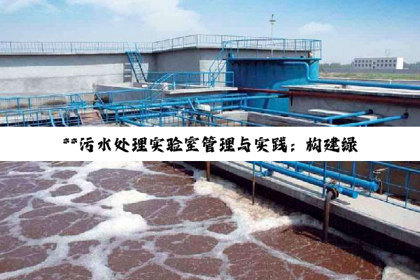 **污水处理实验室管理与实践：构建绿色未来的技术基石**
